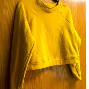 BP MUSTARD WOMENS CROP SWEATER